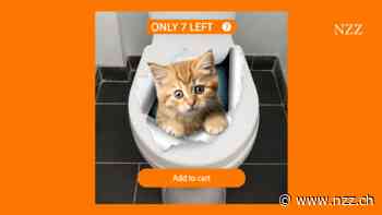 Temu ist Genie und Wahnsinn in einem: Die chinesische Shopping-App denkt den Onlinehandel neu – und bricht dabei alle Regeln