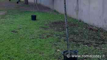 Nuovo volto al giardino della scuola: iniziativa dei genitori a Villa Lais