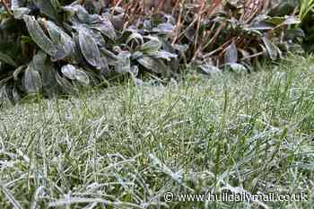 How cold it will get in the Hull area with early winter blast on the way