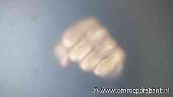 112-nieuws: jongen geslagen door overvallers • botsing met politieauto