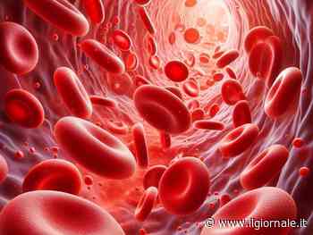 Demenze, il ruolo chiave dei livelli instabili di colesterolo: ecco perché