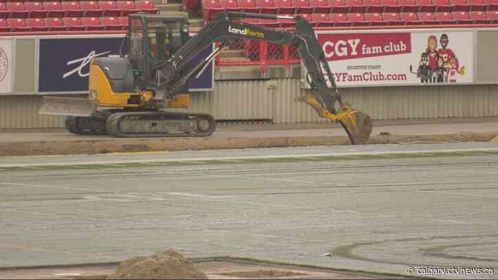 McMahon Stadium gets a makeover as turf replacement underway