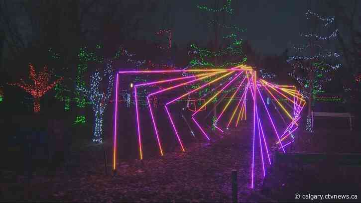 Zoolights returns to Wilder Institute-Calgary Zoo for holiday run