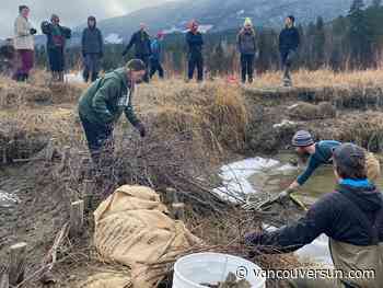 B.C. Climate News: Earth’s projected warming hasn’t improved for 3 years | B.C. teachers among hundreds of groups calling for national youth climate corps | Activist Tzeporah Berman one of Time's most influential climate leaders