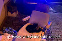 Kosmetikliege schmort in Beautysalon