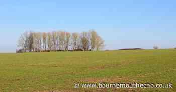 This Dorset walk takes in a barrier built against the Saxons