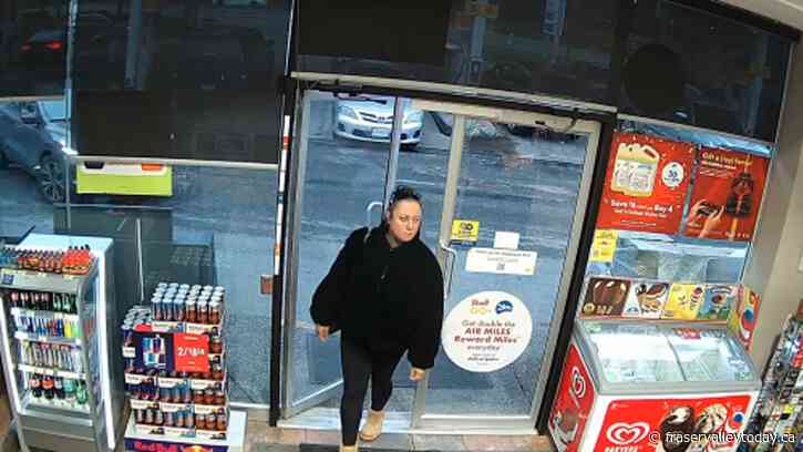 Langley RCMP seek help in locating a missing 33-year-old woman