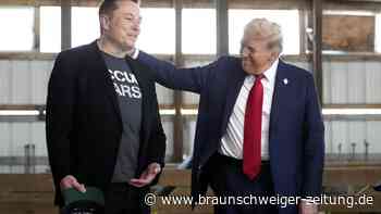 Finanzminister: Musk mischt sich in Trumps Postenvergabe ein