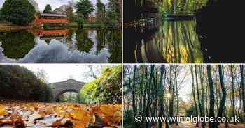 Wirral's 15 autumnal walks to enjoy on Take A Hike Day 2024