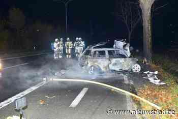 Auto vliegt in brand na klap tegen boom: inzittenden kunnen zich redden