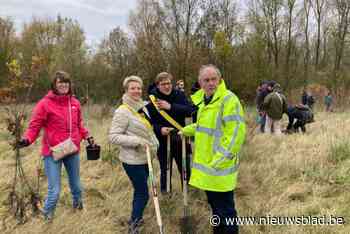 Honderd nieuwe bomen in geboortebos