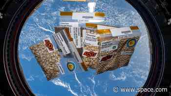 Space-flown Choctaw Nation seeds to be planted on Earth for STEM experiment