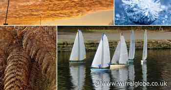 20 pictures of perfect patterns captured around Wirral