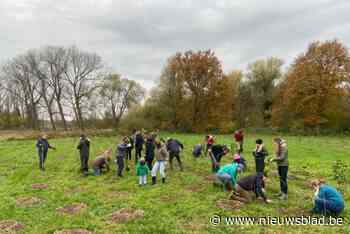 Vrijwilligers en buren planten 18.000 bomen en struiken voor Heilige Geestbos in Waarloos