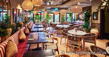 Swanky shopping outlet restaurant will have its own menu for dogs