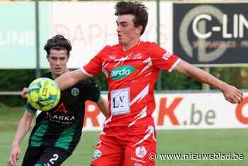 Interim-coach Thijs Van Hauwaert boekt deugddoende zege met VC Ardooie: “De volgende uitdaging staat al klaar”