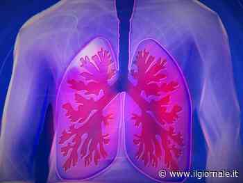 Ecco come ascoltare il nostro respiro può migliorare la vita: mai sottovalutare mancanza di fiato, tosse o affaticamento