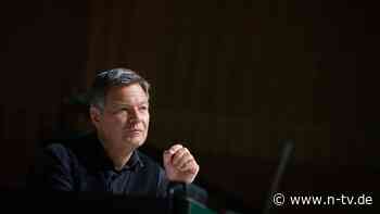 Habeck endlich Kanzlerkandidat: Er will doch nur führen