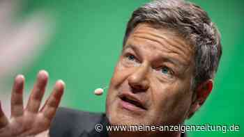 Habeck zu Schwarz-Grün: Da gibt es kein Tabu