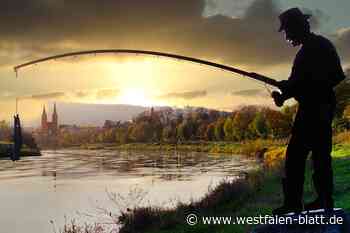 Fotowettbewerb in Höxter begeistert mit traumhaften Bildern
