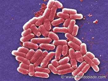 Organic carrots recalled in multi-state E. coli outbreak