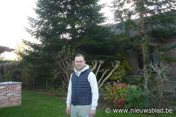 Verkeers- en parkeerhinder tijdens kerstboomtransport