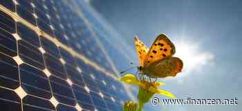 Um 18 Uhr live: Direktinvestments in Photovoltaik - Zukunftsorientiert von stabilen Renditen profitieren und Steuern in Vermögen wandeln