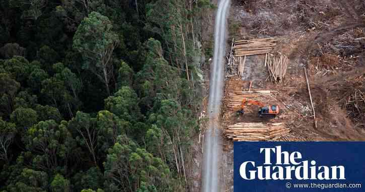 Greens drop climate trigger demand in attempt to restart Nature Positive talks with Labor