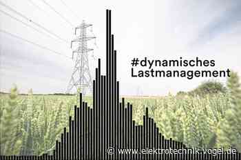 Mit dynamischem Lastmanagement gegen steigende Stromkosten