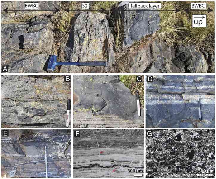 A Giant Meteorite Impact 3.26 Billion Years Ago Helped Push Life Forward
