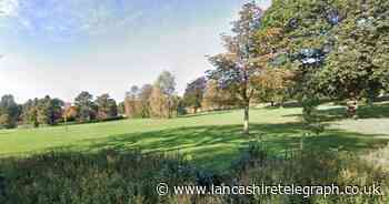 Drunk man shot tawny owl and wood pigeon at park with air rifle