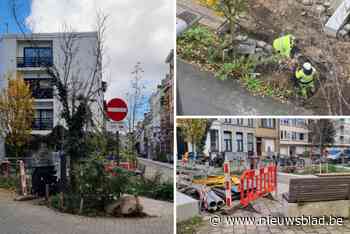Buurt ziet jarenlang werk aan parkje in rook opgaan door bruuske nutswerken: “We waren supertrots op wat we hadden gerealiseerd, en nu dit”