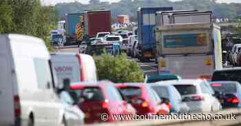 Long delays on the A31 following reports of a crash