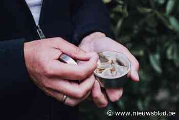 Politie en inspectiediensten controleren vijf handelszaken: “In een winkel 143 potjes met het verboden snus aangetroffen”