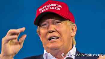 'MAGA' tops the charts in Pornhub searches during the 2024 election