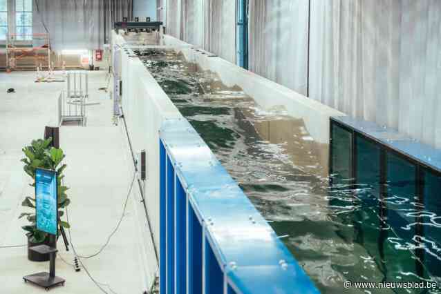 Waterbouwkundig laboratorium neemt nieuwe ‘golfgoot’ in gebruik: betere bescherming Belgische kust begint in Borgerhout
