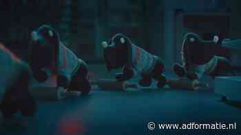 Siepie en Takkie misdragen zich in Sint-commercial van Hema