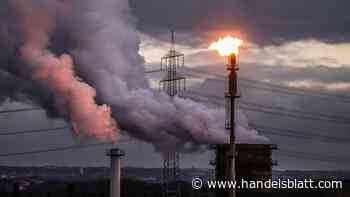 Steuern: Komplexe Steuergesetze für Unternehmen schaden dem Standort