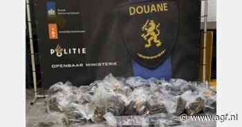 Douane vangt 278 kilo cocaïne tussen bananen in de haven van Vlissingen