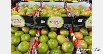 Nieuw zoeter grapefruitras: Redson