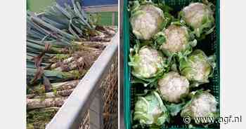 "Tekort door overstromingen zorgt ervoor dat Oostenrijk naar Belgische bio-prei kijkt"