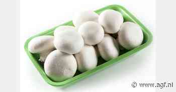 Vanaf 2030 plastic verpakking ook voor paddenstoelen verboden in EU