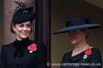 Kate Middleton's major 'change' after health battle as Sophie Wessex steps up