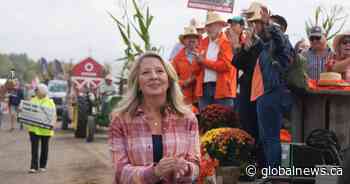 Ontario NDP pitches sweeping municipal reform amid growing homelessness