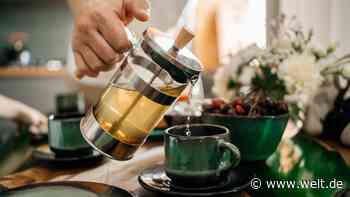 Ostfriesen, Kaltaufguss, Kräuter – so trinken die Deutschen Tee