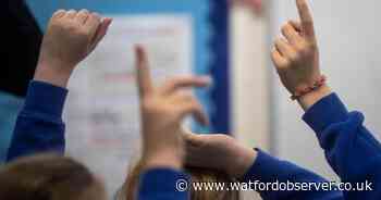 Data shows distribution of children with EHCPs in mainstream schools in Herts