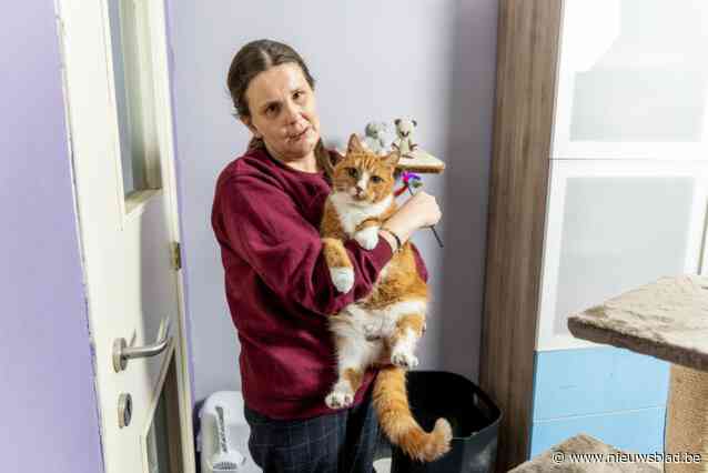 Ondanks ziekte maakt Liesbeth (42) van haar passie haar bijberoep: “Mijn missie is om katten en hun baasjes gelukkiger te laten samenleven”