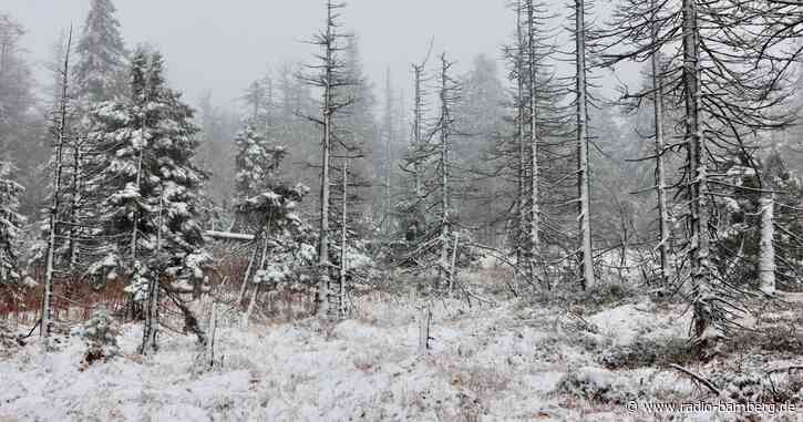 Tief «Quiteria» bringt Sturmböen und Schnee