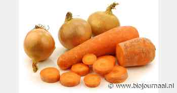 Bio-akkerbouwer Klompe pleit voor onafhankelijk rassenonderzoek voor peen en uien