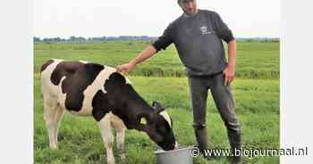 Werkgroep test digitale weidegangsysteem
